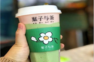 加盟葉子與茶需多少費用？冰淇淋加盟機遇解析